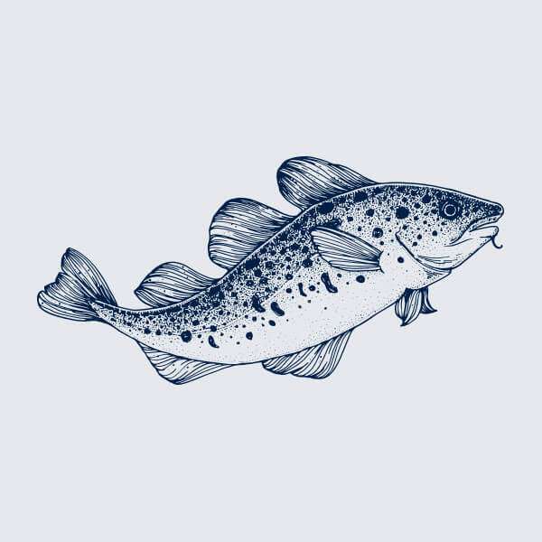 Seasonal catch illustration