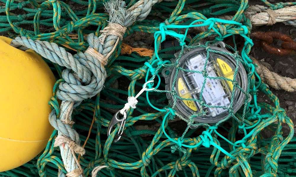 Reduce Bycatch with Pisces LED Lights