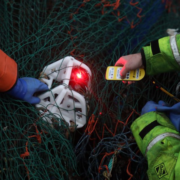 CatchCam with red light attached to trawl gear